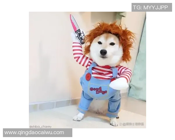 足球明星家庭中的宠物们：他们的可爱动物伙伴与生活点滴